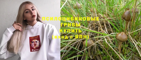 не бодяженный Абаза