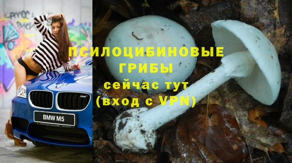 не бодяженный Абаза